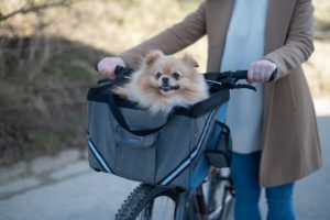 Geanta Transport Caini pentru Bicicleta