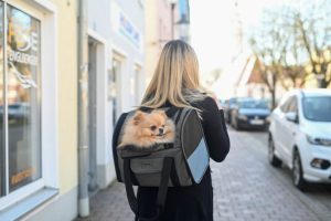 Rucsac Transport Caini